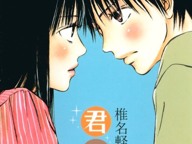 Kimi ni Todoke