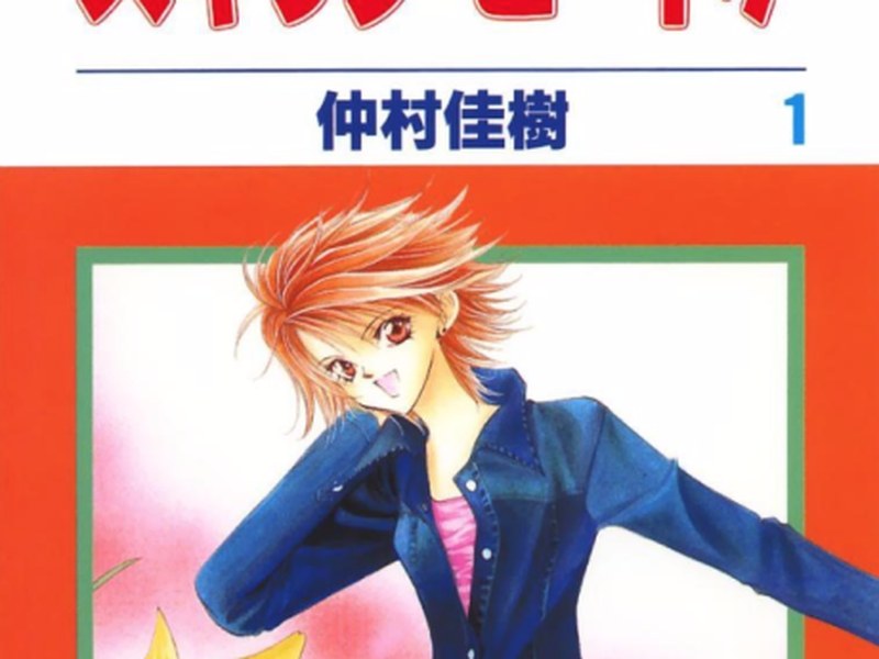 Skip Beat! Не сдавайся!